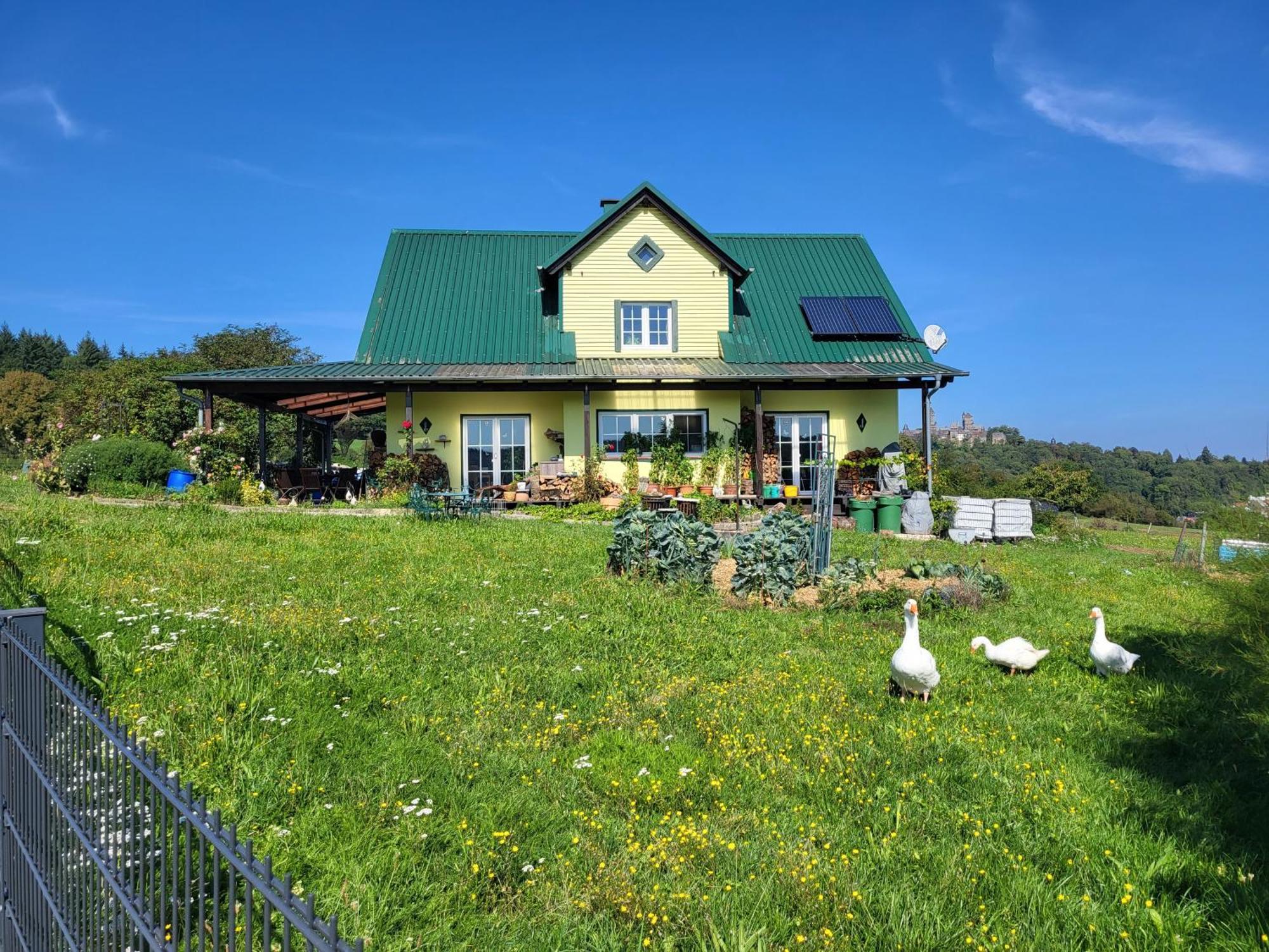 Kleine Einzigartige Ferienwohnung Auf Dem Bauernhof, Direkt In Der Natur Mit Blick Auf Schloss Braunfels Bagian luar foto